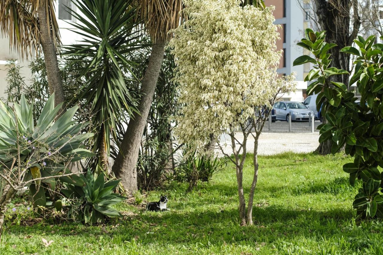 Olive Grove Apartment By Trip2Portugal ลิสบอน ภายนอก รูปภาพ