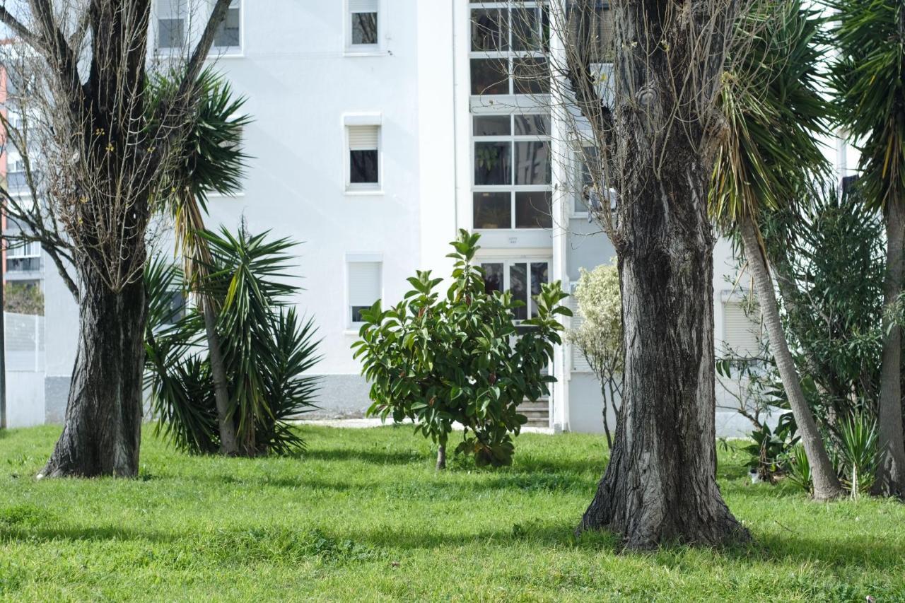 Olive Grove Apartment By Trip2Portugal ลิสบอน ภายนอก รูปภาพ